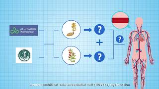 Gastrodin and Gallic Acid Attenuate Apoptosis and Inflammation – Video abstract 477554 [upl. by Lipcombe]