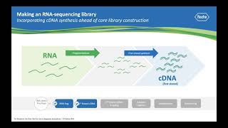 W5a RNAseq I Analysis  Day 1 [upl. by Grazia]