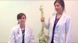 Goniometric Measurement Lumbar Rotation Range Of Motion Measurment [upl. by Therese825]