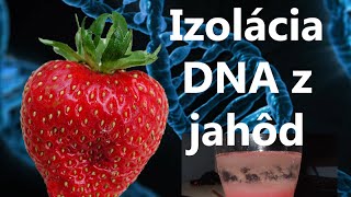 Izolácia DNA z jahôd [upl. by Adaven]