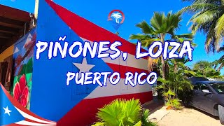 PINONES LOIZAHOME TO THE BEST FRIED COMFORT FOOD IN PUERTO RICO [upl. by Chambers]