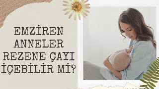 Emziren Anneler Rezene Çayı İçebilir mi [upl. by Neryt]