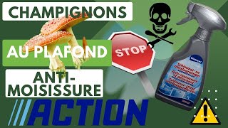 🍄Comment se débarrasser des moisissures efficacement et durablement Antimoisissures Action TEST😱 [upl. by Eittocs]