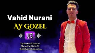 Vahid Nurani  Ay Gozel Derdinden daglari daslari gezerem ay gozel [upl. by Dedra776]