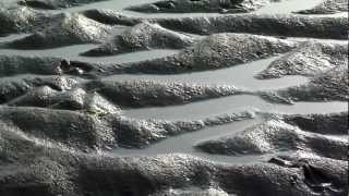 Nordsee Watt am Strand  Nationalpark Wattenmeer [upl. by Ayhtin269]