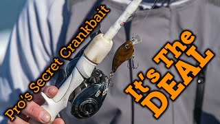 Frittside Crankbait Bass Fishing Tips [upl. by Matilda]