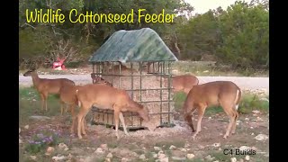 C4 Builds Wildlife Cottonseed Feeder [upl. by Amelita]