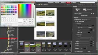 New Watermarks in Bridge CS5 [upl. by Margarida]