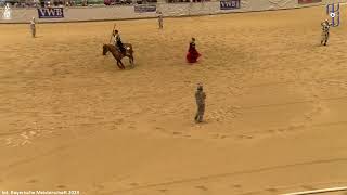 Freestyle Reining auf der BM der VWB 2023 [upl. by Ardelle6]