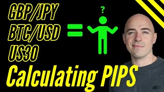 How to Calculate Pips in Forex [upl. by Akoek]