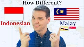 How Different Are Indonesian and Malay [upl. by Collier]