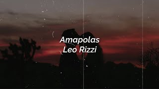 Leo Rizzi  Amapolas Lyrics  Acapella  Rvrb  8D [upl. by Niuqauj763]