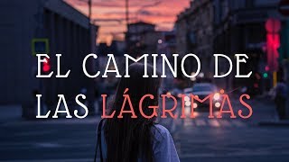 EL CAMINO DE LAS LÁGRIMAS [upl. by Natalya]