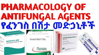 Antifungal Drugs AntifungalAgents pharmacology pharmacy antibiotics doctor የፈንገስ መድሐኒት [upl. by Rosie]