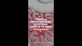 Cómo la permeabilidad intestinal afecta tu peso Síntomas y Soluciones [upl. by Corvese]