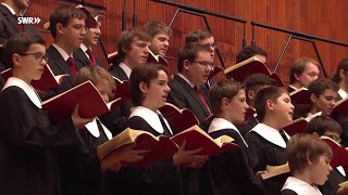 Gänsehaut beim Hohen C  Unterwegs mit den Stuttgarter Hymnus Chorknaben [upl. by Eno]