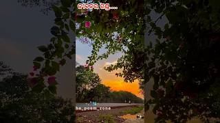 Odia Shayari  Odia Love  Odia status music phonk beats [upl. by Mandeville]