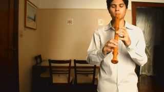 Antonio Vivaldi  Recorder Concerto in C minor RV 441 [upl. by Caitlin]