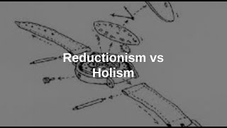 Reductionism vs Holism Debate [upl. by Eisned737]