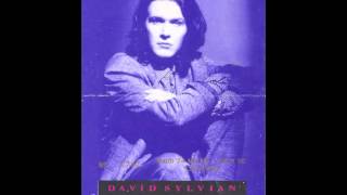 David Sylvian  LIVE IN THEATRE  1988  FULL CONCERT [upl. by Yrekaz395]