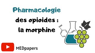 💡Pharmacologie  les opioïdes la morphine❓ [upl. by Enylecoj]