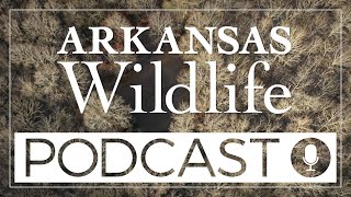 Arkansas Wildlife Podcast Episode 53 Gators at Night [upl. by Mayda]