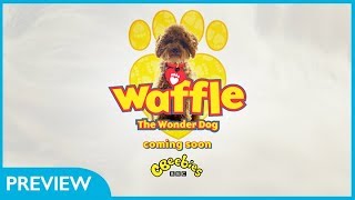 CBeebies  Waffle The Wonder Dog  Series 3 Official Preview [upl. by Enohpesrep]