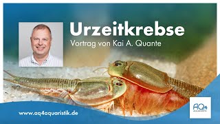 Urzeitkrebse  Triops Artemia Feenkrebse und Muschelschaler  Vortrag von Kai A Quante [upl. by Thetis]