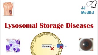 Lysosomal Storage Diseases  Overview and What You Need to Know [upl. by Ariaet]