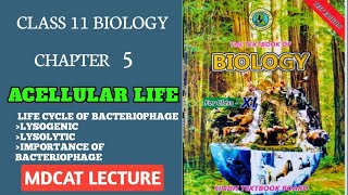 LIFE CYCLE OF BACTERIOPHAGE LYSOLYTIC AND LYSOGENIC CYCLE  CLASS 11 NEW BIOLOGY BOOK SINDH BOARD [upl. by Aicats]