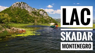 Monténégro le lac de Skadar [upl. by Manara]