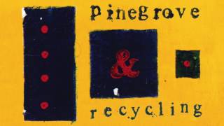 Pinegrove  Recycling [upl. by Lainey]