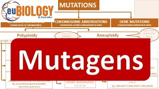 MUTAGENS  PHYSICAL amp CHEMICAL [upl. by Aihsel123]