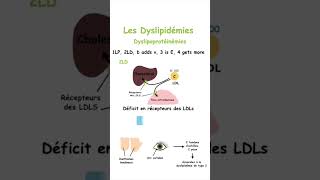 Retenez les Différentes Dyslipidémies sans Effort grâce à cette Méthode Mnémotechnique shorts [upl. by Enileve]