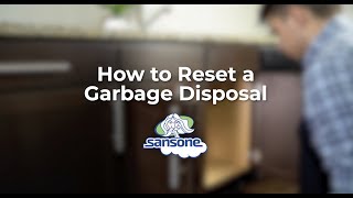 Reset Your Garbage Disposal in 3 Steps [upl. by Nerol938]