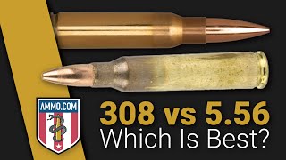 65 Creedmoor vs 308 Win Steel Penetration Test [upl. by Eenerb]