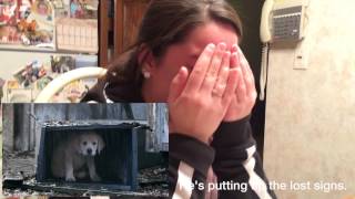 Best Reaction to Budweiser Lost Puppy Commercial [upl. by Okikuy398]