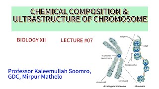 BiologyXII  Chemical composition of chromosome and ultrastructure [upl. by Dygert]