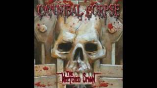 Cannibal Corpse  Psychotic Precision [upl. by Tatianas]