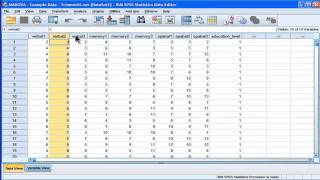 MANOVA  SPSS part 1 [upl. by Camden]