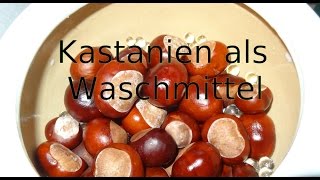 Kastanien als Waschmittel [upl. by Harim]