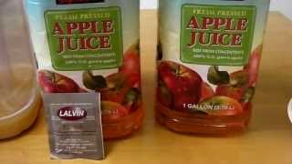 Quick amp Easy Hard Apple Cider [upl. by Githens400]