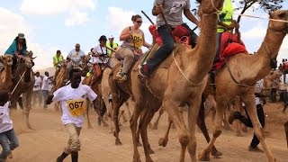 Carreras de camellos en Kenia para atraer a turistas [upl. by Ard536]