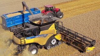 Our Best Harvest Video  New Holland CR1090 amp CR980 [upl. by Anawd433]