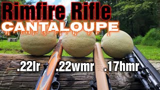 CANTALOUPES vs 22LR 22WMR 17HMR RIFLES [upl. by Fitalludba]