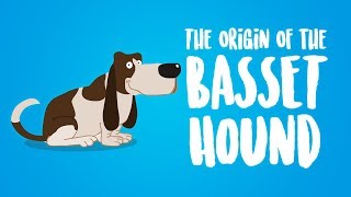 The Origin of the Basset Hound Animation [upl. by Hayilaa191]