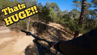 Chucking Huge T Bogs  Anglesea Bike park [upl. by Agnesse268]