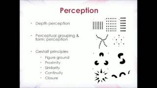 Cognition Lecture 3  Perception Attention Filter Theory [upl. by Theadora]