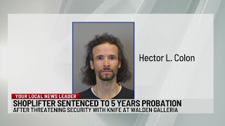 Buffalo man sentenced for stealing from Walden Galleria allegedly threatening security with knife [upl. by Nauqe157]