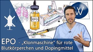 EPO Hormon amp Dopingmittel  Die „Klonmaschine“ für rote Blutkörperchen amp bessere Ausdauer [upl. by Senn]